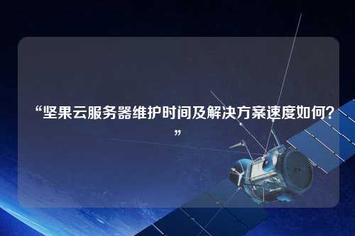 “堅果云服務(wù)器維護時(shí)間及解決方案速度如何？”