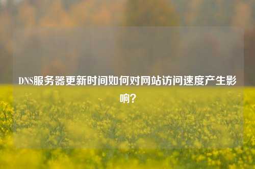 DNS服務(wù)器更新時(shí)間如何對網(wǎng)站訪(fǎng)問(wèn)速度產(chǎn)生影響？