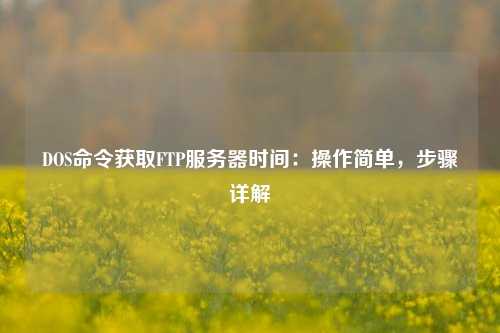 DOS命令獲取FTP服務(wù)器時(shí)間：操作簡(jiǎn)單，步驟詳解