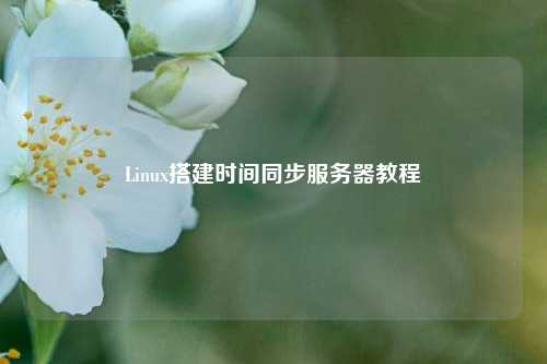 Linux搭建時(shí)間同步服務(wù)器教程