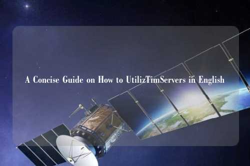 A Concise Guide on How to UtilizTimServers in English