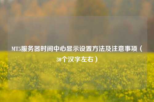 MT5服務(wù)器時(shí)間中心顯示設置方法及注意事項（30個(gè)漢字左右）