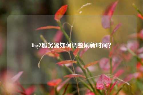 DayZ服務(wù)器如何調(diào)整刷新時(shí)間？