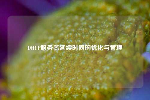 DHCP服務(wù)器延續時(shí)間的優(yōu)化與管理