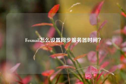 Foxmail怎么設(shè)置同步服務(wù)器時(shí)間？