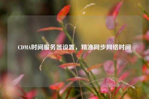 CDMA時(shí)間服務(wù)器設置，精準同步網(wǎng)絡(luò )時(shí)間