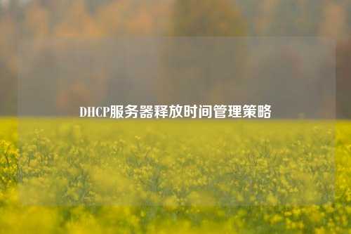 DHCP服務(wù)器釋放時(shí)間管理策略