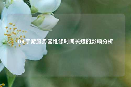 LOL手游服務(wù)器維修時(shí)間長(cháng)短的影響分析