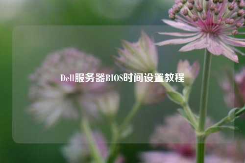 Dell服務(wù)器BIOS時(shí)間設置教程