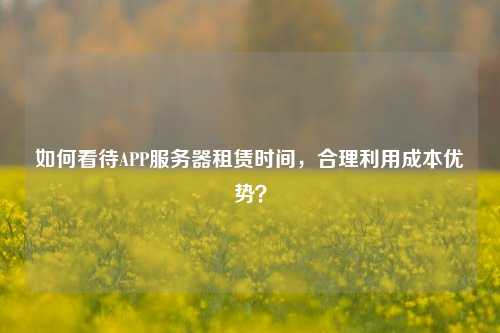 如何看待APP服務(wù)器租賃時(shí)間，合理利用成本優(yōu)勢？