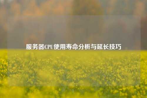 服務(wù)器CPU使用壽命分析與延長(cháng)技巧