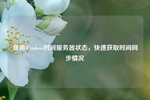 查詢(xún)Windows時(shí)間服務(wù)器狀態(tài)，快速獲取時(shí)間同步情況