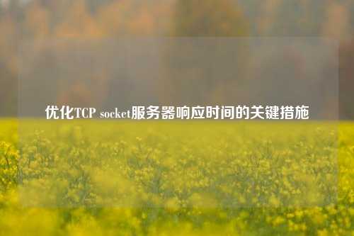 優(yōu)化TCP socket服務(wù)器響應時(shí)間的關(guān)鍵措施