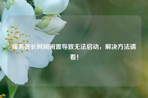 服務(wù)器長(cháng)時(shí)間閑置導致無(wú)法啟動(dòng)，解決方法請看！