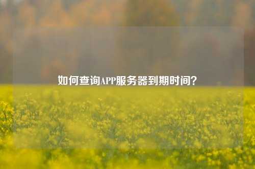 如何查詢(xún)APP服務(wù)器到期時(shí)間？