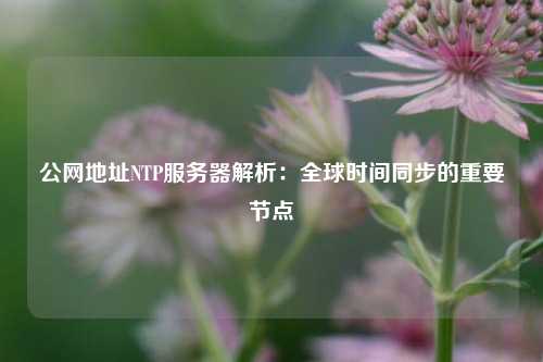 公網(wǎng)地址NTP服務(wù)器解析：全球時(shí)間同步的重要節點(diǎn)