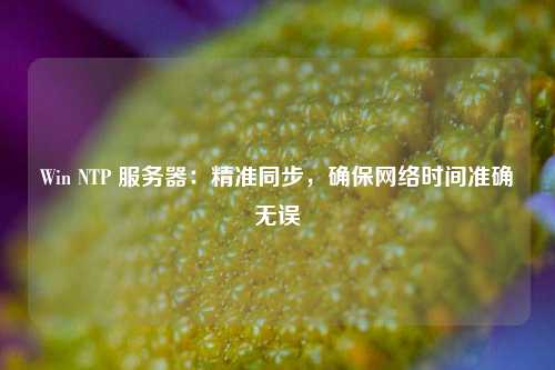 Win NTP 服務(wù)器：精準同步，確保網(wǎng)絡(luò )時(shí)間準確無(wú)誤