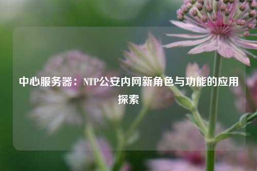 中心服務(wù)器：NTP公安內網(wǎng)新角色與功能的應用探索