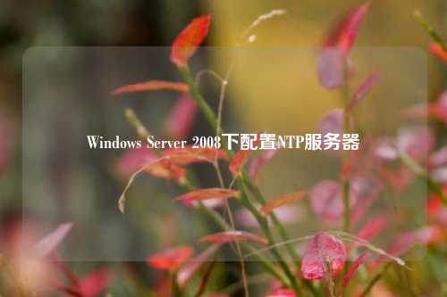 Windows Server 2008下配置NTP服務(wù)器