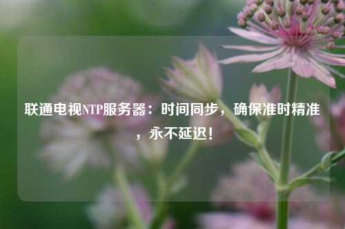 聯(lián)通電視NTP服務(wù)器：時(shí)間同步，確保準時(shí)精準，永不延遲！