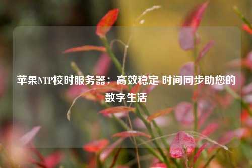 蘋(píng)果NTP校時(shí)服務(wù)器：高效穩定 時(shí)間同步助您的數字生活