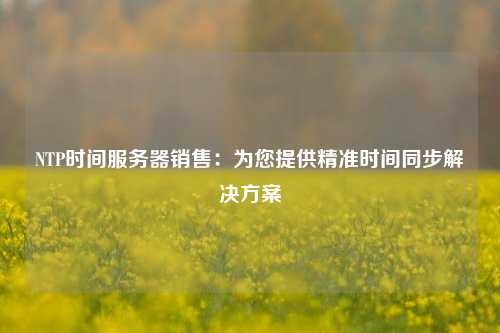 NTP時(shí)間服務(wù)器銷(xiāo)售：為您提供精準時(shí)間同步解決方案