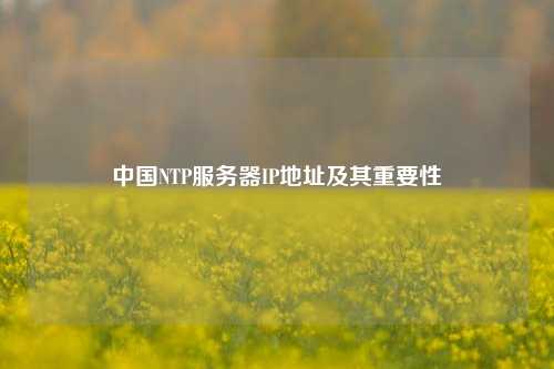 中國NTP服務(wù)器IP地址及其重要性