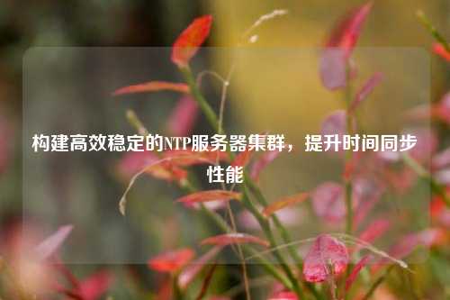 構建高效穩定的NTP服務(wù)器集群，提升時(shí)間同步性能