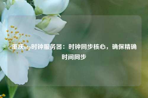 重慶ntp時(shí)鐘服務(wù)器：時(shí)鐘同步核心，確保精確時(shí)間同步