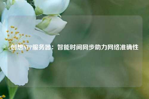 創(chuàng  )想NTP服務(wù)器：智能時(shí)間同步助力網(wǎng)絡(luò )準確性