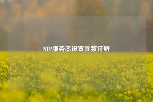 NTP服務(wù)器設置參數詳解