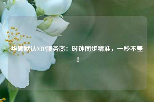 華碩默認NTP服務(wù)器：時(shí)鐘同步精準，一秒不差！