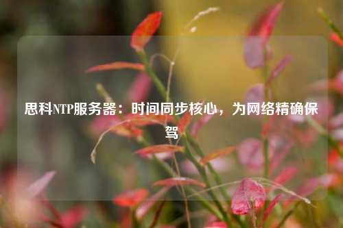 思科NTP服務(wù)器：時(shí)間同步核心，為網(wǎng)絡(luò )精確保駕