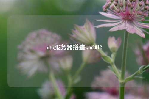 ntp服務(wù)器搭建win2012