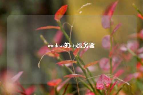 windows的ntp服務(wù)器