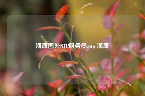 ?？祰釴TP服務(wù)器,ntp ?？? /></p>
    <p>
        　　NTP服務(wù)器是用來(lái)提供精準的時(shí)間同步服務(wù)的。在監控系統中，各個(gè)攝像頭、錄像機等設備需要保持一致的時(shí)間，以確保錄像的準確性和事件的時(shí)間順序。?？礜TP服務(wù)器通過(guò)互聯(lián)網(wǎng)向全球用戶(hù)提供時(shí)間同步服務(wù)，確保他們的監控系統能夠準確記錄事件發(fā)生的時(shí)間。
    </p>
    <p>
        　　
        <h3>
            ?？礜TP服務(wù)器的優(yōu)勢
        </h3>
        <p></p>
        <p>
            　　?？礜TP服務(wù)器具有以下幾個(gè)優(yōu)勢：?？底鳛槿蝾I(lǐng)先的監控解決方案提供商，其N(xiāo)TP服務(wù)器的穩定性和精準度得到了廣泛認可。?？礜TP服務(wù)器采用了先進(jìn)的技術(shù)，能夠快速響應用戶(hù)的時(shí)間同步請求，確保監控系統的時(shí)間同步準確無(wú)誤。?？礜TP服務(wù)器在全球范圍內部署，能夠為用戶(hù)提供更加穩定和可靠的時(shí)間同步服務(wù)。
        </p>
        <p>
            　　
            <h3>
                ?？礜TP服務(wù)器的部署
            </h3>
            <p></p>
            <p>
                　　?？礜TP服務(wù)器在國外的部署是經(jīng)過(guò)精心規劃和布局的。?？翟谌蚋鞯卦O立了NTP服務(wù)器節點(diǎn)，以確保用戶(hù)能夠快速、穩定地獲取時(shí)間同步服務(wù)。?？礜TP服務(wù)器的部署考慮了網(wǎng)絡(luò )拓撲、帶寬、延遲等因素，以提供最佳的時(shí)間同步體驗。
            </p>
            <p>
                　　
                <h3>
                    ?？礜TP服務(wù)器的維護
                </h3>
                <p></p>
                <p>
                    　　?？礜TP服務(wù)器的維護是確保時(shí)間同步服務(wù)正常運行的關(guān)鍵。?？档墓こ處焾F隊定期對NTP服務(wù)器進(jìn)行巡檢和維護，確保其穩定性和可靠性。?？颠€會(huì )根據用戶(hù)的需求和反饋不斷優(yōu)化NTP服務(wù)器的性能，提升用戶(hù)體驗。
                </p>
                <p>
                    　　
                    <h3>
                        ?？礜TP服務(wù)器的未來(lái)
                    </h3>
                    <p></p>
                    <p>
                        　　隨著(zhù)監控技術(shù)的不斷發(fā)展和應用場(chǎng)景的不斷拓展，?？礜TP服務(wù)器將繼續發(fā)揮重要作用。未來(lái)，?？祵⒗^續加大對NTP服務(wù)器的研發(fā)投入，提升其性能和穩定性，以滿(mǎn)足不斷增長(cháng)的用戶(hù)需求。?？祵⒗^續秉承“服務(wù)至上”的理念，為全球用戶(hù)提供更加優(yōu)質(zhì)的時(shí)間同步服務(wù)。
                    </p>
                
            
        
    
                </div>
                                                <div   id=