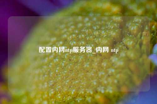 配置內網(wǎng)ntp服務(wù)器_內網(wǎng) ntp